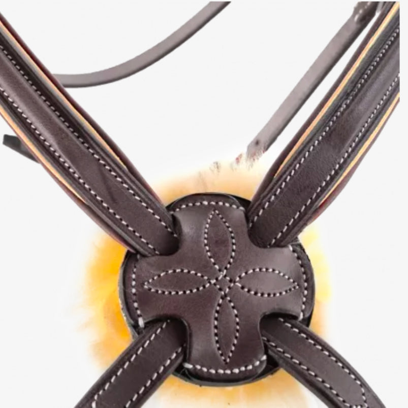 CWD Sport Colour Bridle - Cross Noseband - Brown