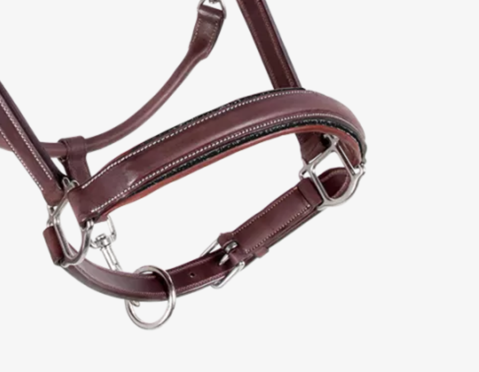CWD Stable Halter LI02