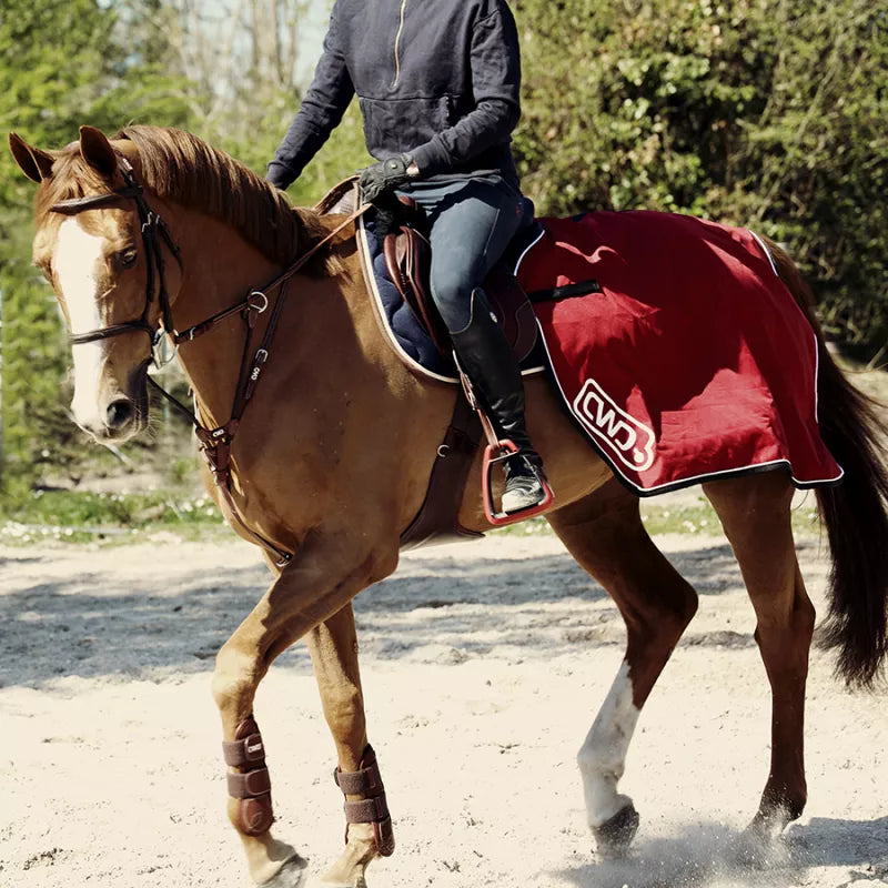 CWD Quarter Sheet Rug CR01