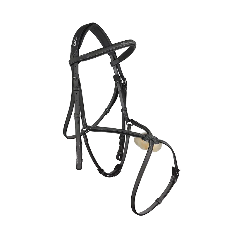 CWD BR08 Bridle Fancy Stitching