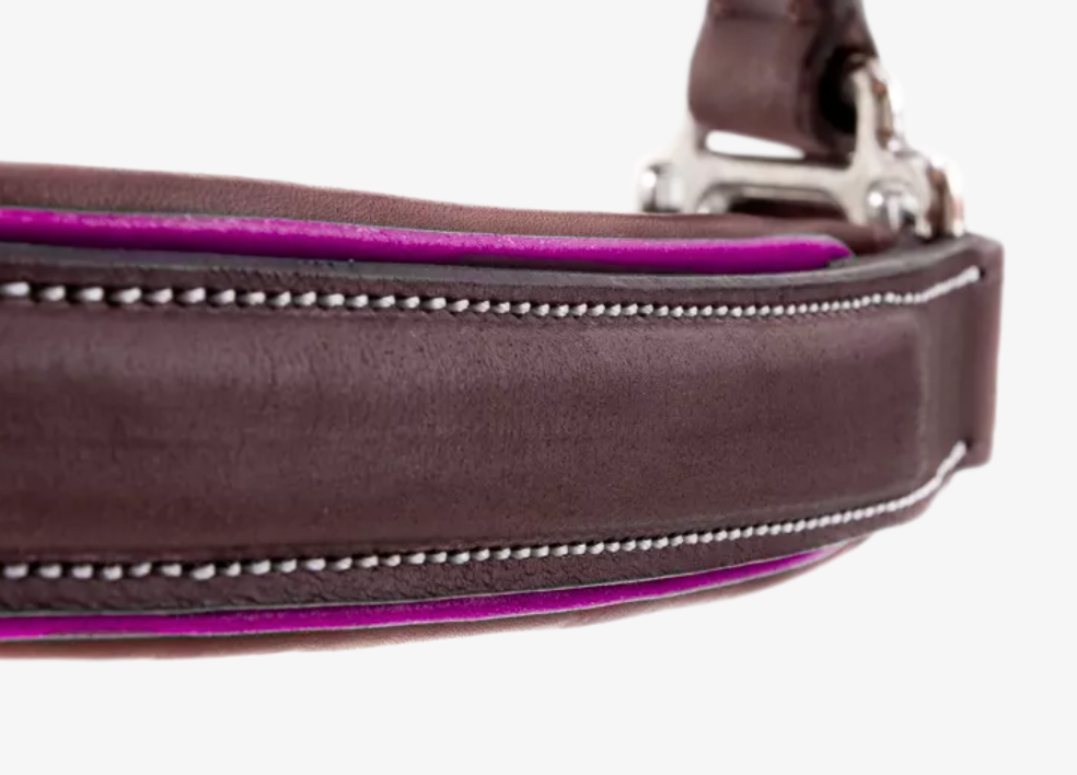 CWD Stable Halter LI02