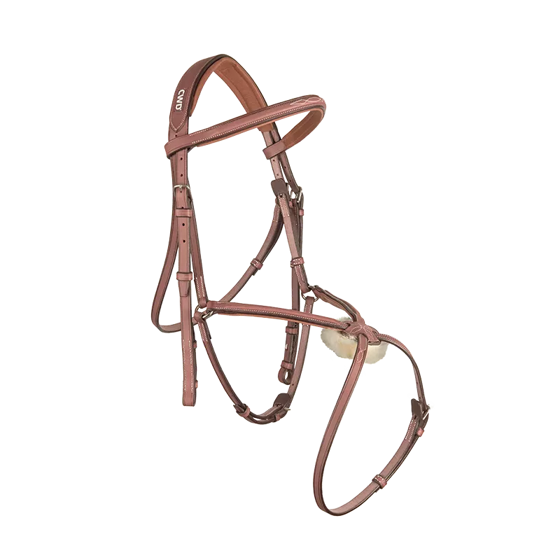 CWD BR08 Bridle Fancy Stitching