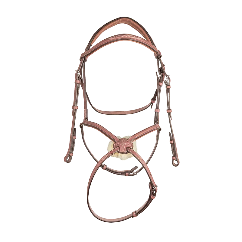CWD BR08 Bridle Fancy Stitching